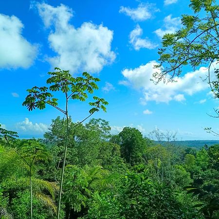 Osa Private Renting House-Villas-Tented-Best Views-Nature-Comfort Puerto Jiménez Exterior photo