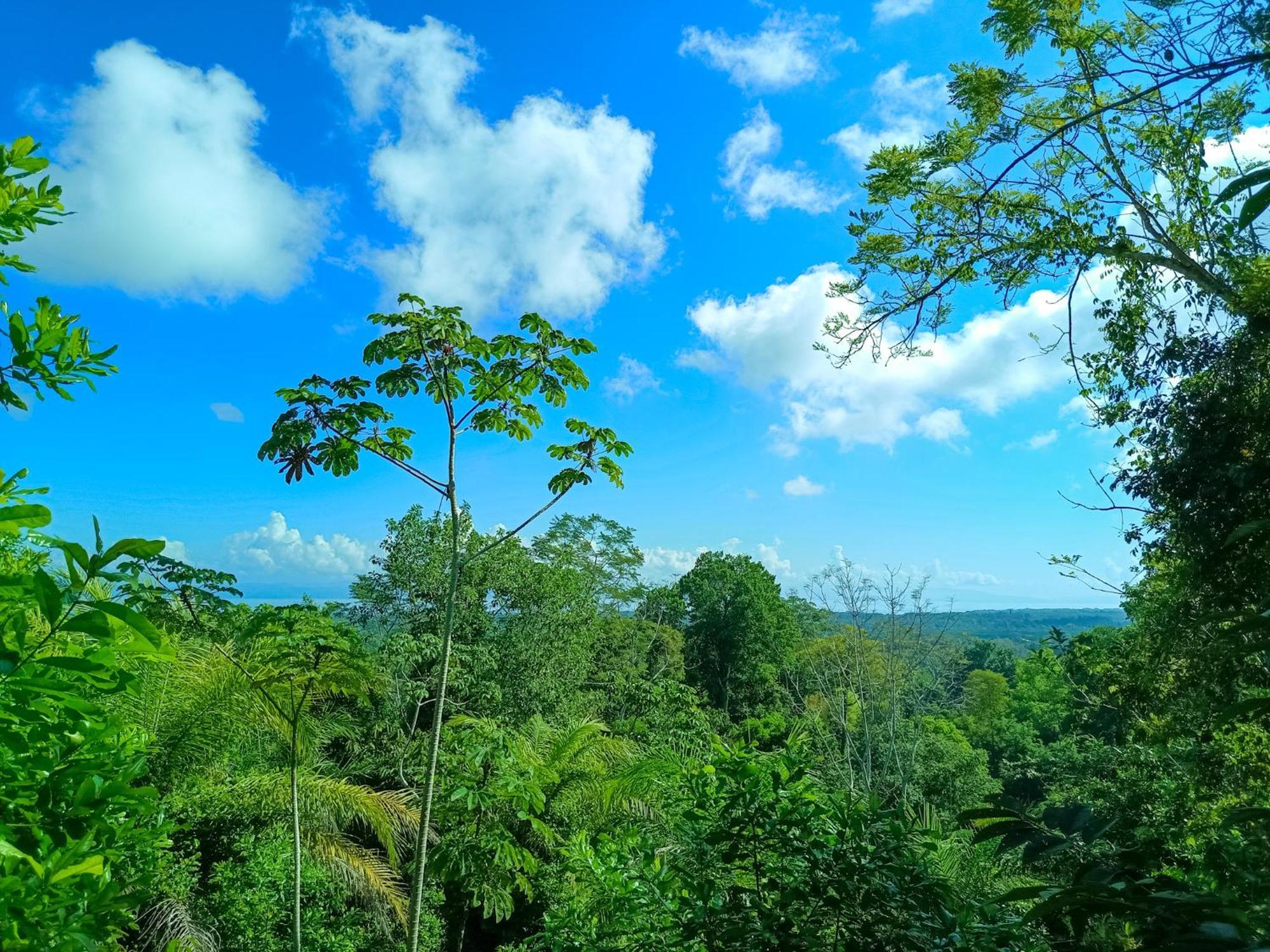 Osa Private Renting House-Villas-Tented-Best Views-Nature-Comfort Puerto Jiménez Exterior photo