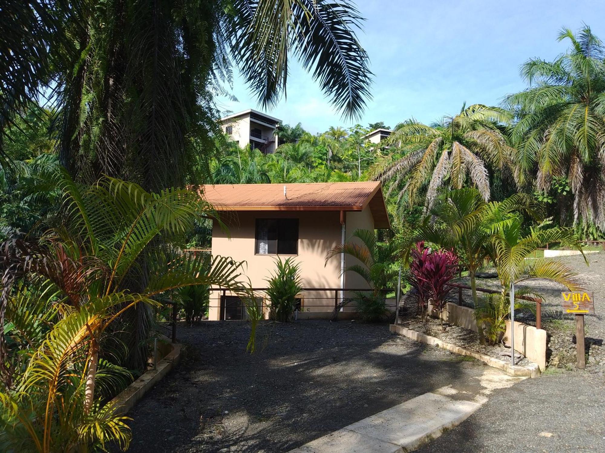 Osa Private Renting House-Villas-Tented-Best Views-Nature-Comfort Puerto Jiménez Exterior photo