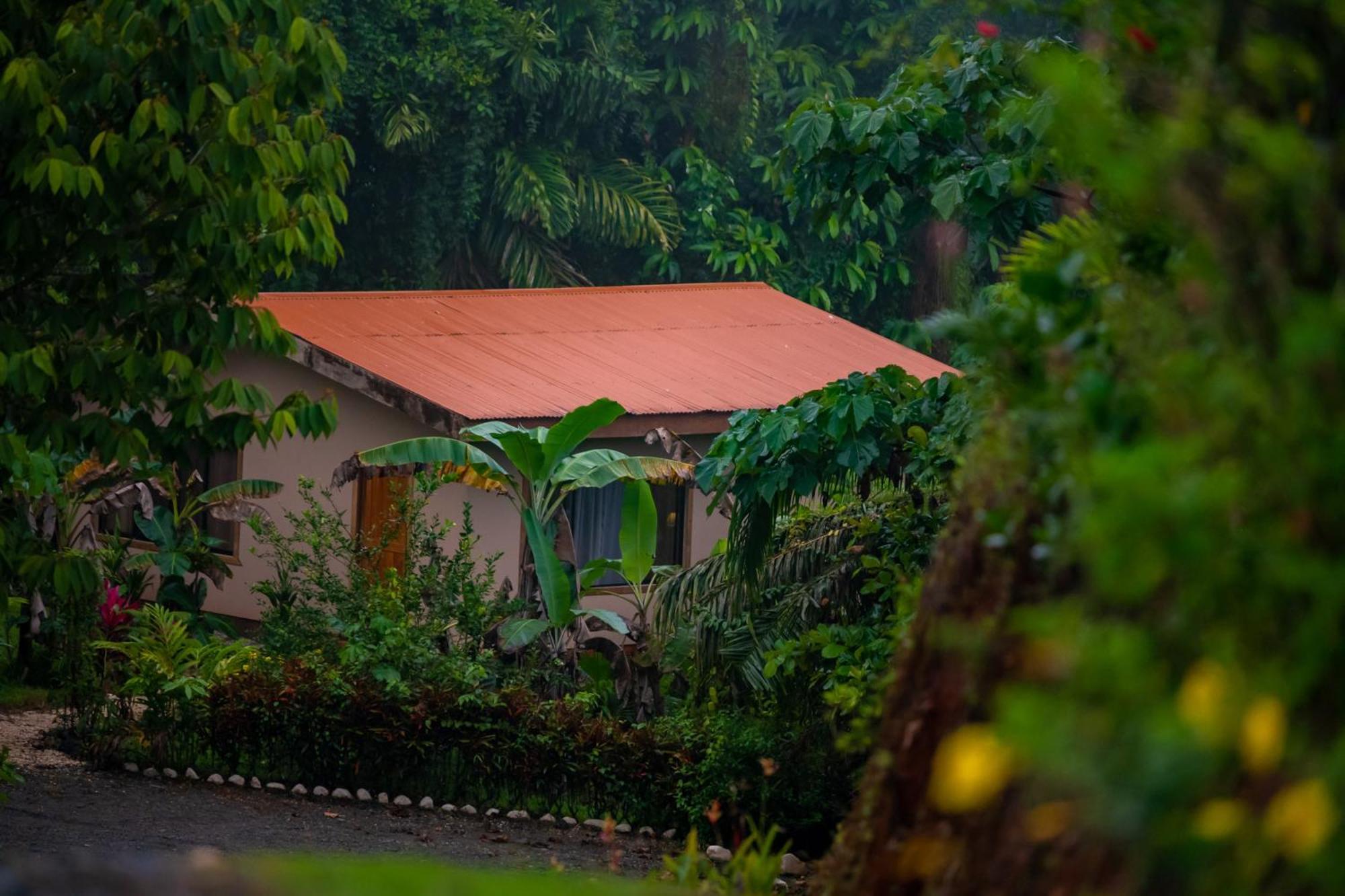 Osa Private Renting House-Villas-Tented-Best Views-Nature-Comfort Puerto Jiménez Exterior photo