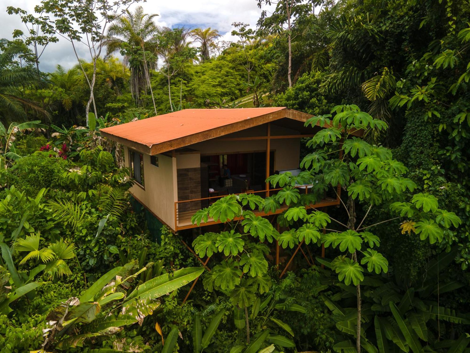 Osa Private Renting House-Villas-Tented-Best Views-Nature-Comfort Puerto Jiménez Exterior photo
